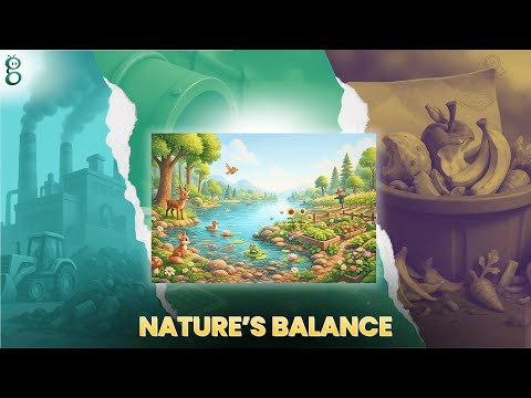 Our Environment – Class 10 Science video