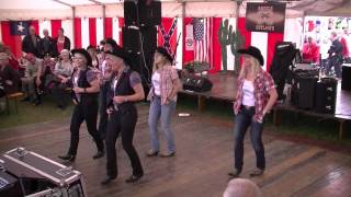 WEST PARTY  -  LANGESKOV, DK 2011.MTS