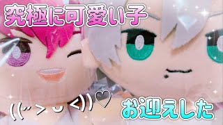 【テニプリ】おきがえぬいぐるみとシーブリーズの購入品紹介♡🍼