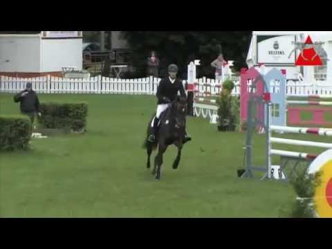 CHACCODELLO in der BuCha-Qualifikation in Nienburg