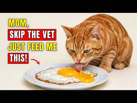 14 Human Foods That Fix Almost Everything in Cats (99% of Owners Have No Idea)