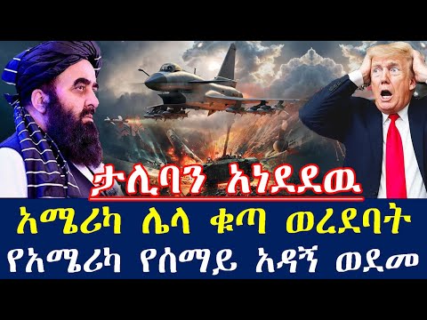 Amharic News 7 and Arke - አርኬ