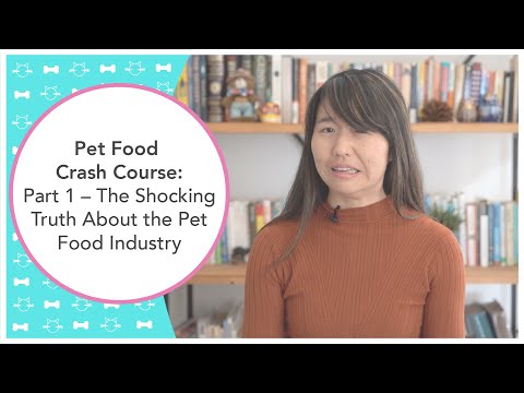 Pet Food Crash Course: Part 1 – The Shocking Truth About the Pet Food Industry