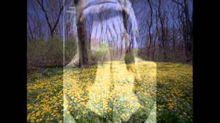 كلمات اغنية البارحه إبراهيم التميمي