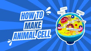 How To Make Animal Cell School Project | Animal Cell 3D Model