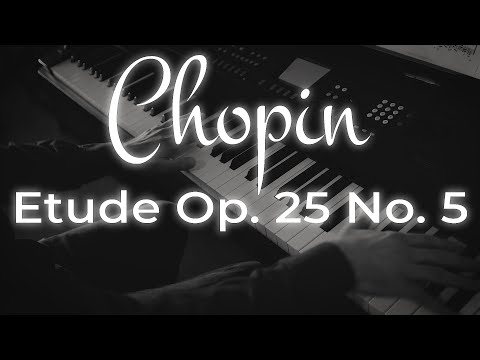 Chopin - Etude Op 25 No 5 | David Levine
