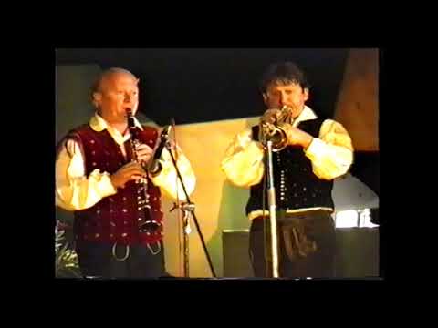 ansambel Tonija Savnika - Mladostna  1990