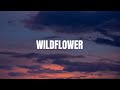 Wildflower Billie Eilish Lyrics Video