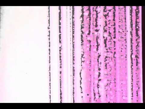 Filmers Almanac - Berserker - January 11