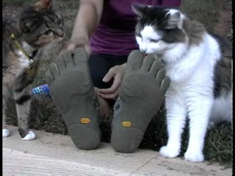 Mary Claire Stewart - Fun