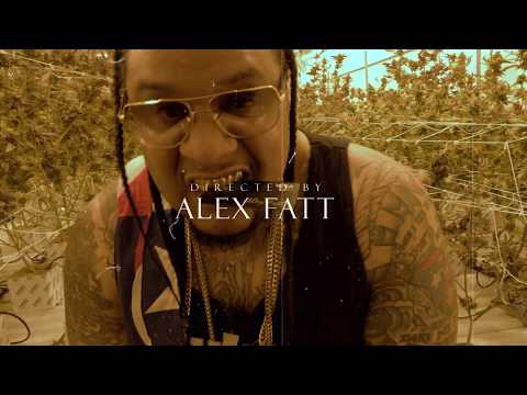 Alex Fatt - Bienvenidos Sean (Official Video)