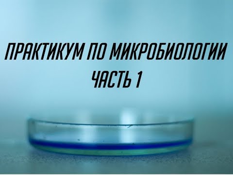 Практикум по микробиологии. Введение. Микроскопирование. Препарат и простая окраска