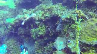 preview picture of video 'SCUBA diving, Roatan, Honduras, CoCo View Resort 9-16-2014 part 3'