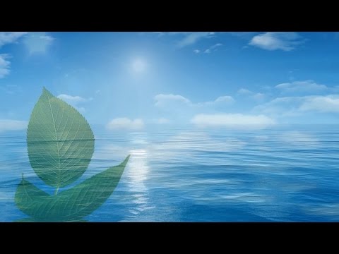 Renato Anselmi : Drifting Clouds