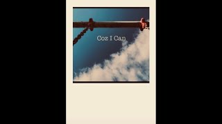 Coz I Can by Ana Johnsson