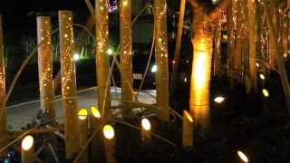 Festival of Bamboo Lights - Japan HD 2014
