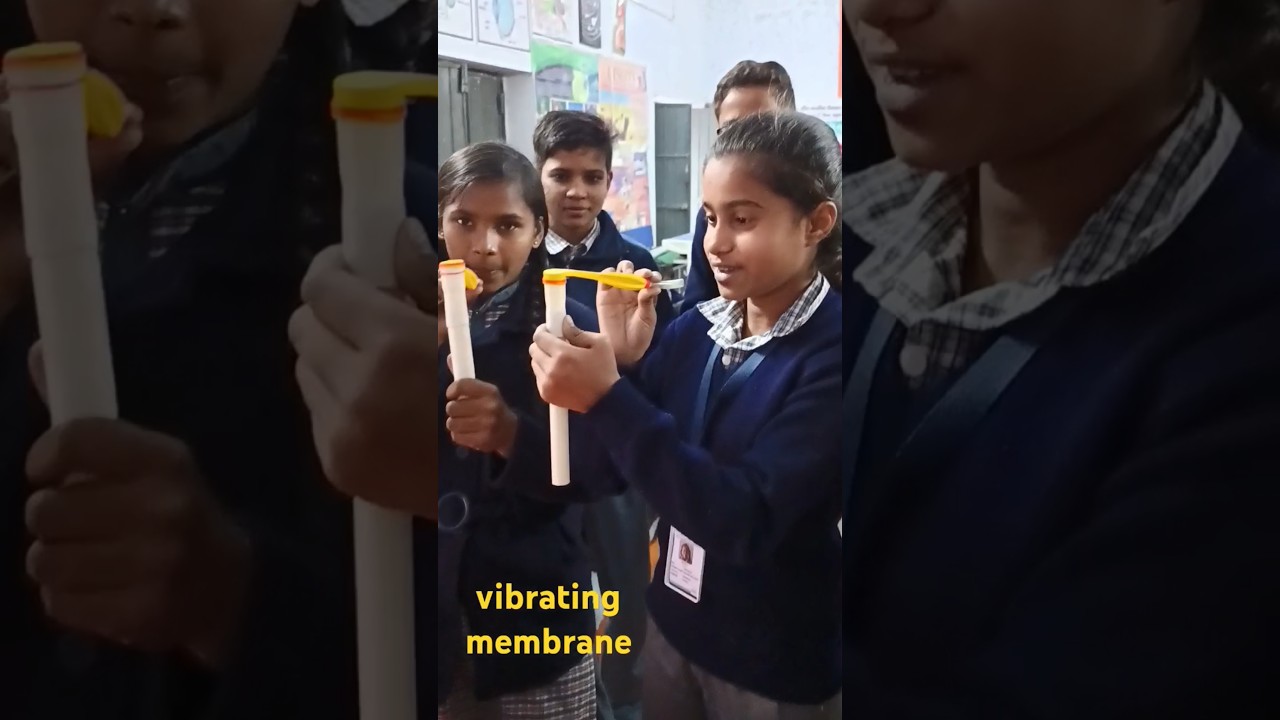 vibrating membrane lesson Sound