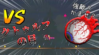 【Terraria】旅の終わりに剣と魔法(剣)をPart2【ゆっくり実況】