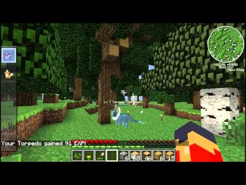 Minecraft Pixelmon Lp  E9 - Quit running away!