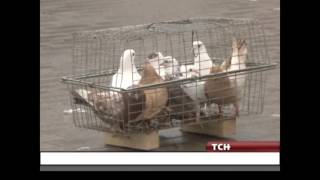 Благовещение в Туле - 07.04.2016