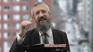 מסכת מועד קטן דף יט - 8 דקות של לומדות ועמקות בדרך הלימוד הישיבתית