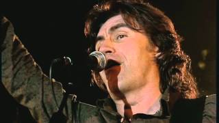 Ligabue - Figlio di un cane - live (HD)