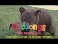 Kidsongs The Petting Zoo From Kidsongs Baby Songs 75 Nursery Rhymes