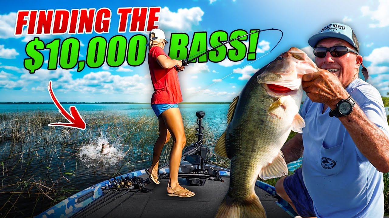 One Five-Pounder Beats Four Small Ones: Roland Martin's Logic