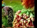 IKLAN JADUL INDOMIE DARI SABANG SAMPAI MERAUKE