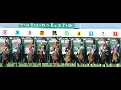 Free Picks for the Grade III Houston Ladies Classic (Sam Houston Race Park)