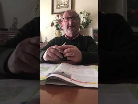 lezione educazione fisica Prof. Mario Curcio parte 1