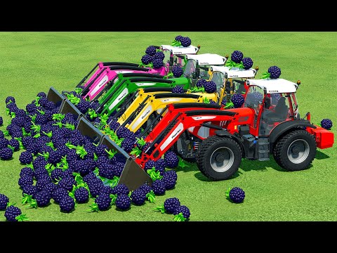 LOAD AND TRANSPORT BLACKBERRY WITH RIGITRAC TRACTORS - Farming Simulator 22