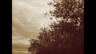 Dakota Suite - Hands Swollen With Grace [HQ]