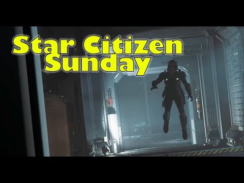 Star Citizen Sunday | Alpha 3.3 Evocati, AI FPS Combat & Birthday Bonanza Stream