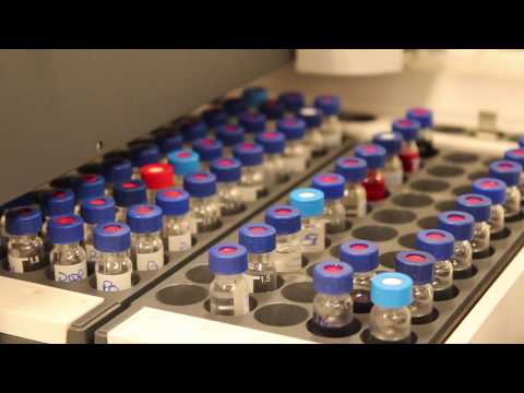 download lagu mp3 mp4 Citeve, download lagu Citeve gratis, unduh video klip Citeve