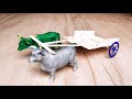 Bullock Bailgadi Howtomake Bullcart How To Make Bullcart With Wood Stiks