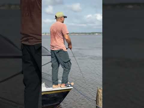 oeiras do Pará, Fazenda Izabel.