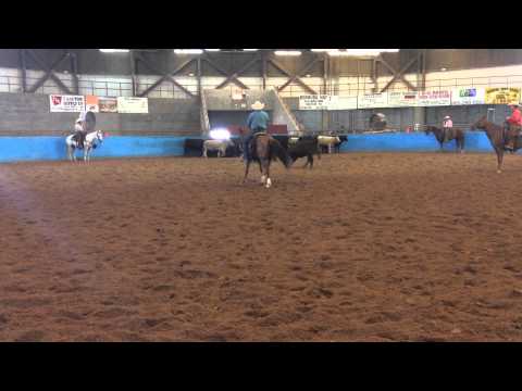 09/06/14 ETCHA 15000 Novice Horse - Soula Jule Playgirl