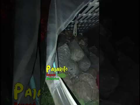 Camión se volcó en Corinto (vía Sogamoso - Pajarito Boyacá)  28/09/2025