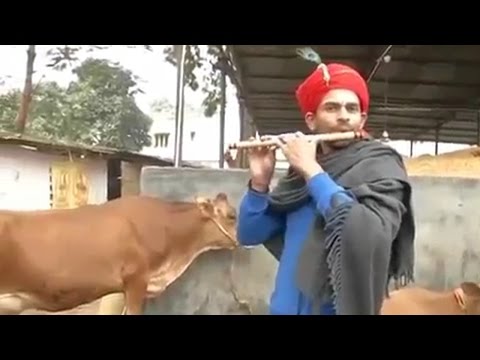Watch | Bihar minister Tej Pratap Yadav dresses up as Krishna, plays flute