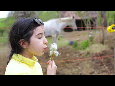 Brunch Apos - Villa Abbatis Equestrian Center