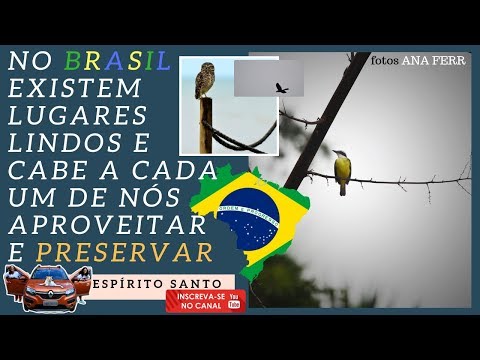 ENCONTRAMOS CORUJAS PELO CAMINHO - LUGARES INCRÍVEIS NO BRASIL - MARATAÍZES - vida que levamos