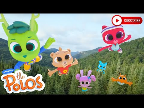 What is in the Rainforest? | Adventure Learning | MarcoPolo World School | Learn At Home - Kingdom Kids Zone, Little Learners - The Polos and MarcoPolo Learning