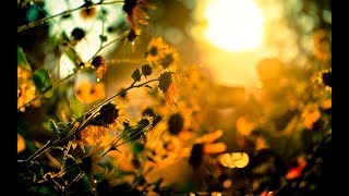 Whence Is That Goodly Fragrance Flowing?