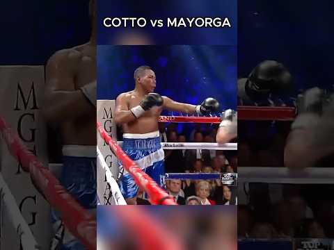 Cotto's Punch Left MAYORGA Begging for Mercy!