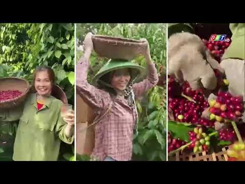 cuoc-thi-sang-tao-noi-dung-so