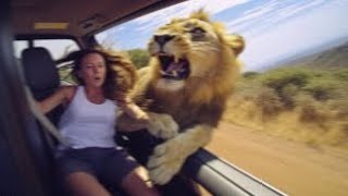 Download lagu 7 Momen Menakutkan Ketika Pengunjung Taman Safari Lupa Mengunci Pintu Mobilnya mp3