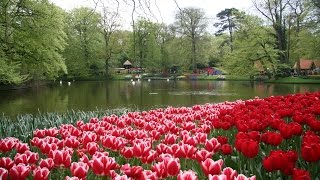 Netherlands: Top 10 Tourist Attractions - Video Travel Guide