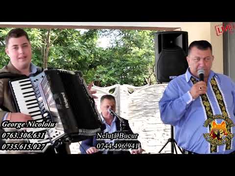 George Nicoloiu si Neluta Bucur   Colaj de hore și sârbe de petrecere la Pechea 2020