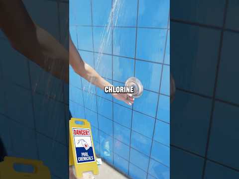 TRISWIM Chlorine Removal Hair and Skin Care Review -...